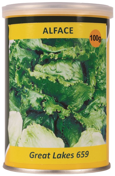 ALFACE GREAT LAKES, 100G K2